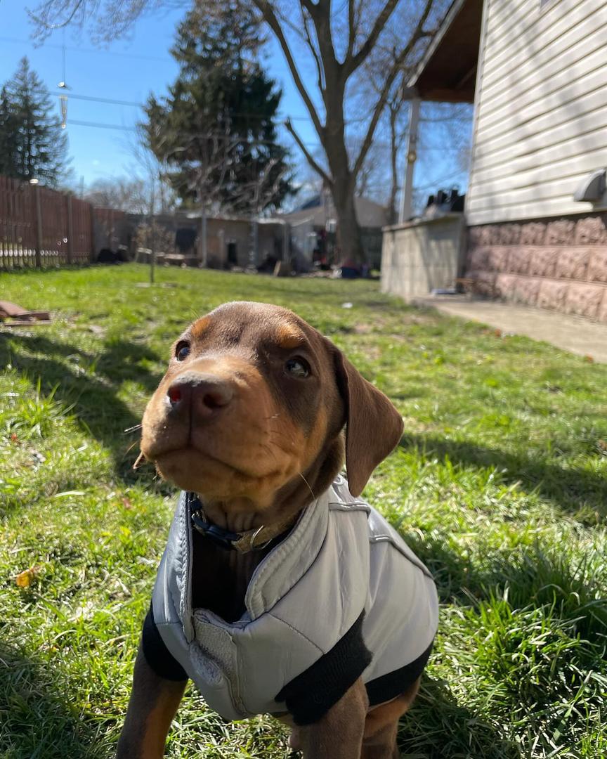 WhatsApp Image 2025-03-02 at 10.55.22 AM