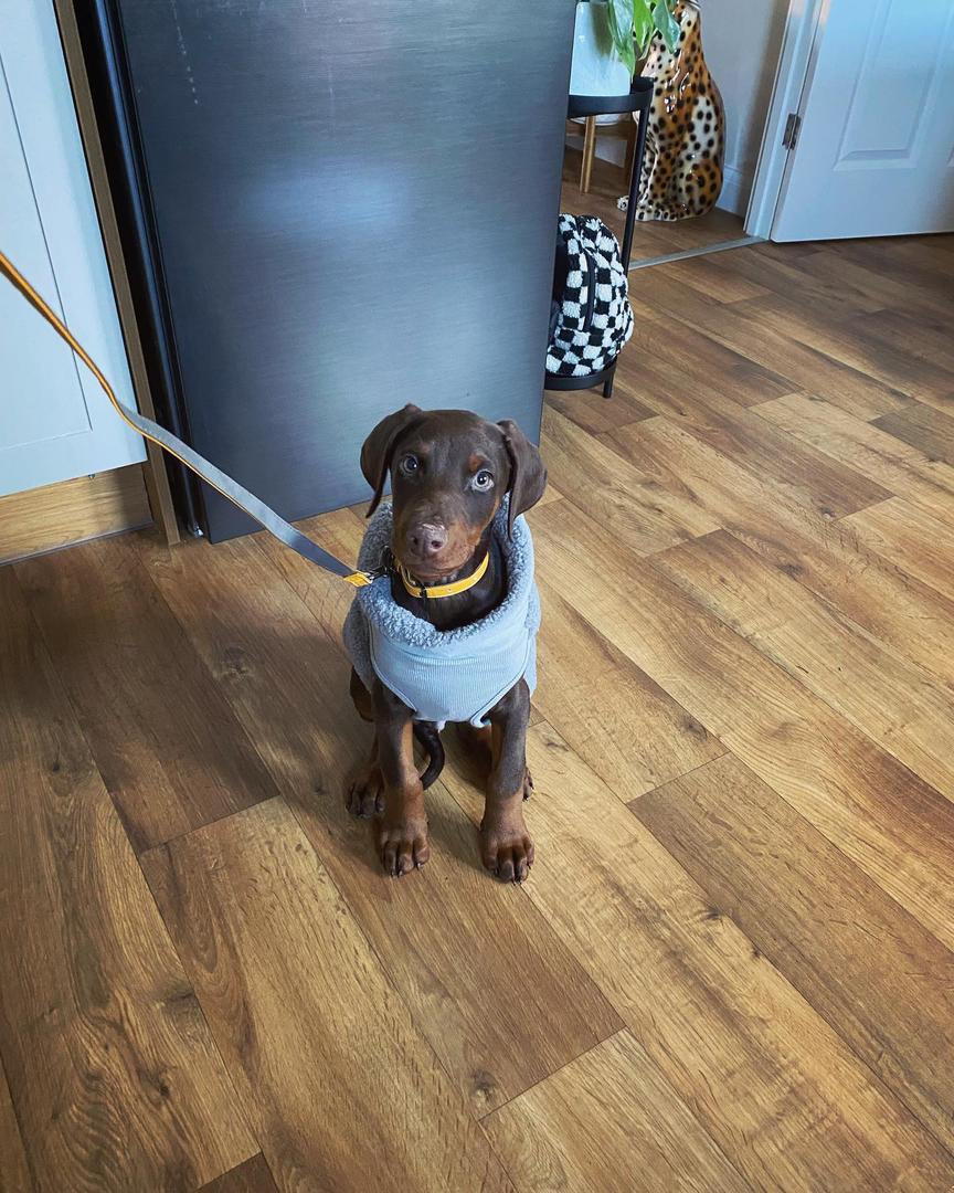 WhatsApp Image 2025-03-02 at 10.57.32 AM