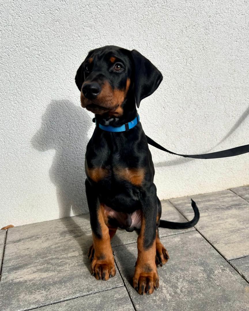 WhatsApp Image 2025-03-02 at 10.58.08 AM