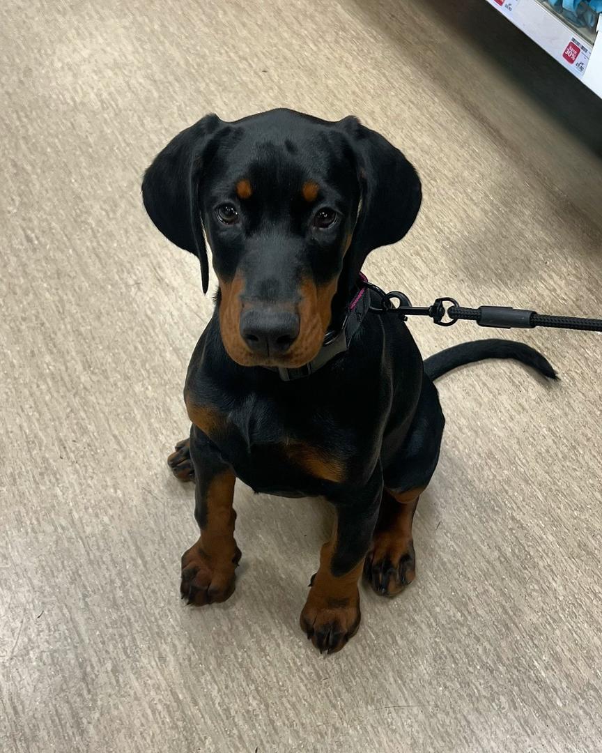 WhatsApp Image 2025-03-02 at 10.59.12 AM