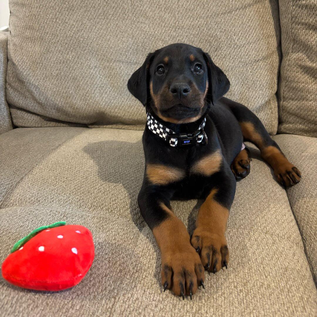 WhatsApp Image 2025-03-02 at 11.04.20 AM